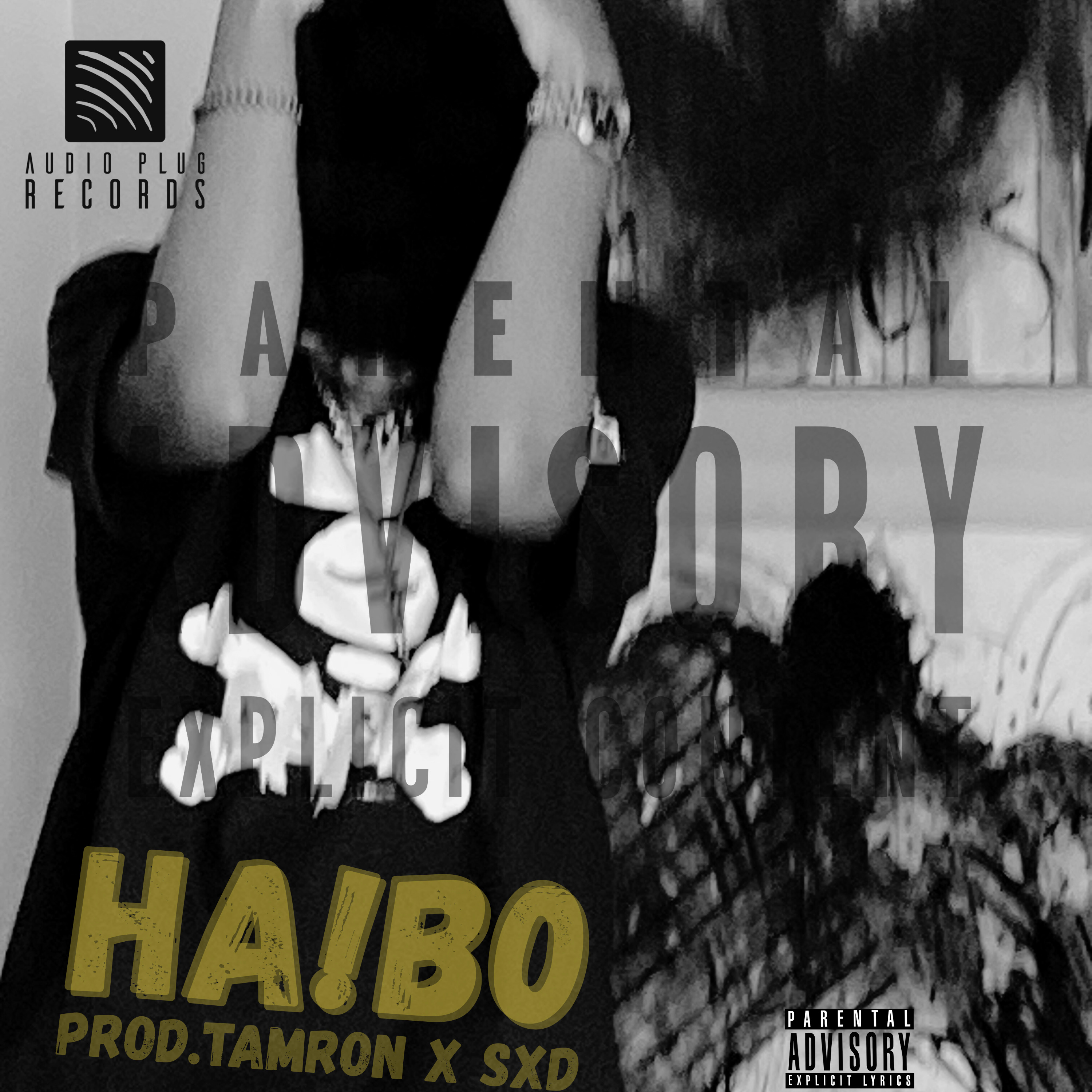 HAibo